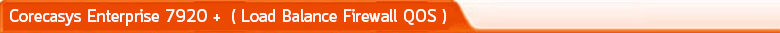 Load Balance QOS Firewall คุ้มค่า